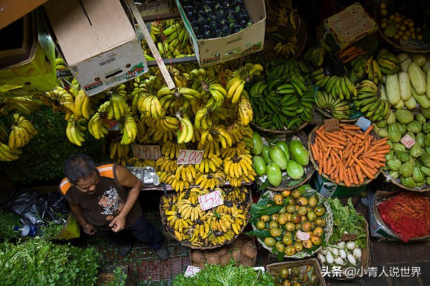 非洲的毛里求斯几乎没有疟疾，毛里求斯小岛是个怎样的国家