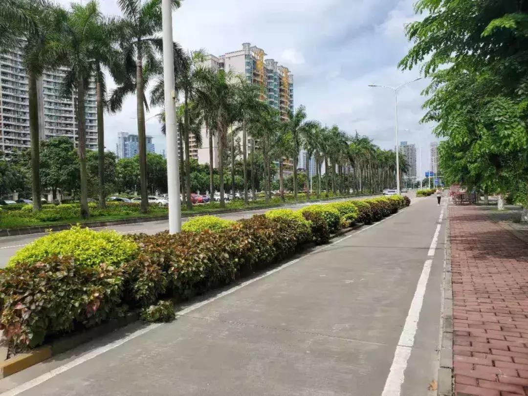 中山五桂山房子值得买吗,中山最值得买的洼地在哪里