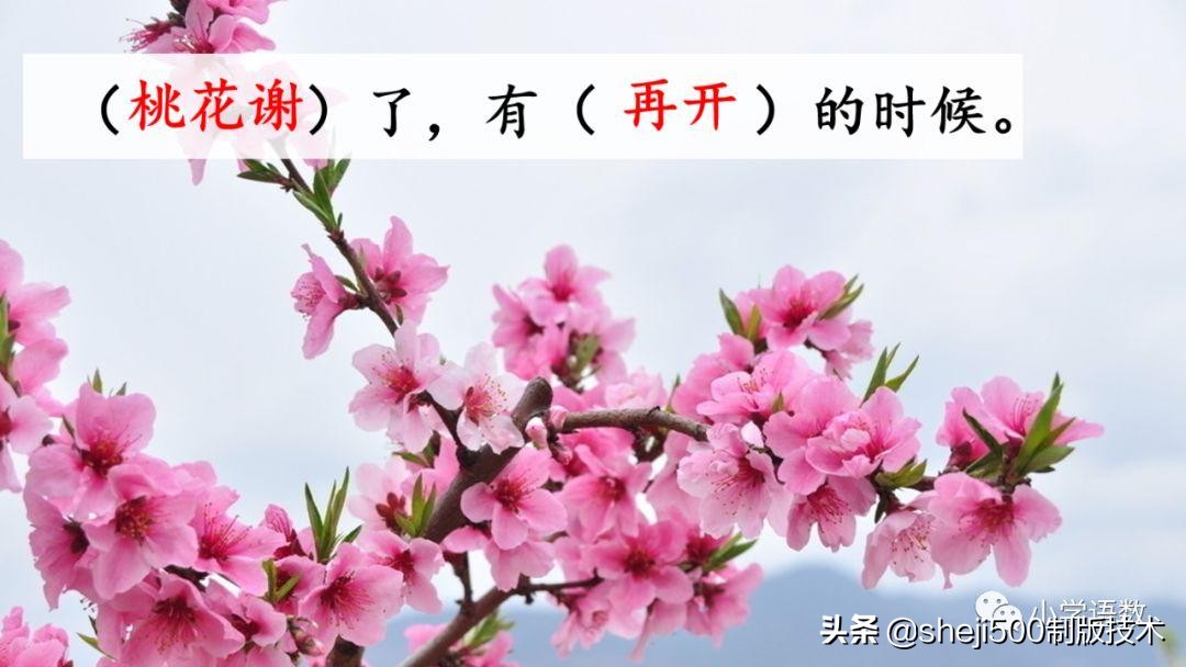 六年级下册语文书8课匆匆的预习,部编版六年级下第八课匆匆讲解