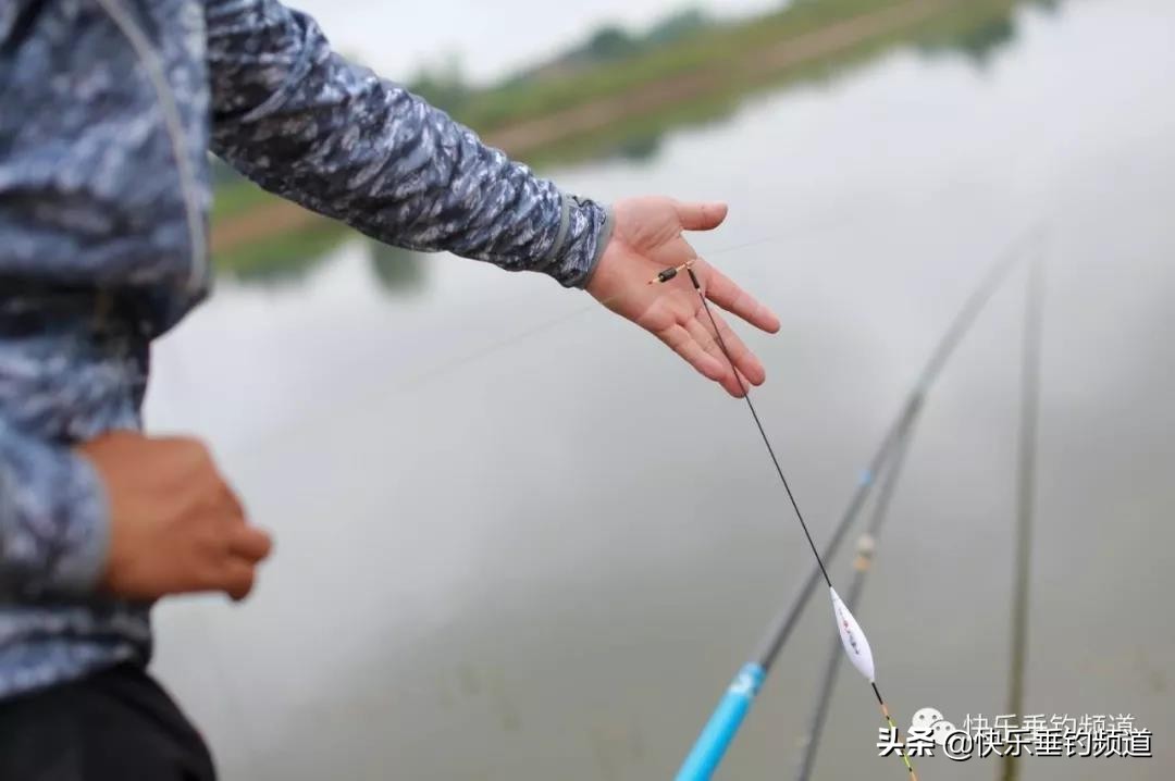 浮钓鲢鳙挂饵怎么调漂,野钓带饵调漂实用最佳方法