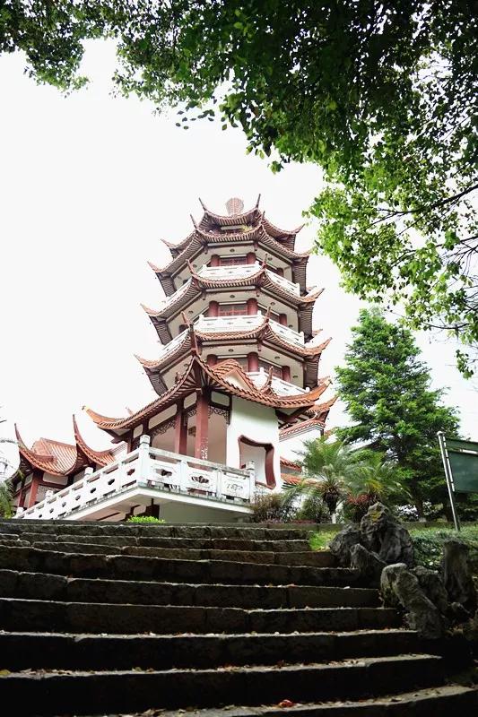 三明麒麟山改造,满意在三明宣传片