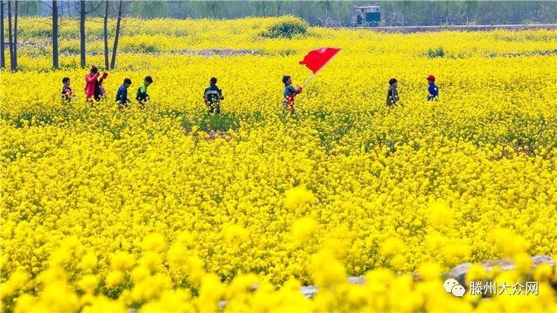 为什么要留在城市,为什么要留在家乡