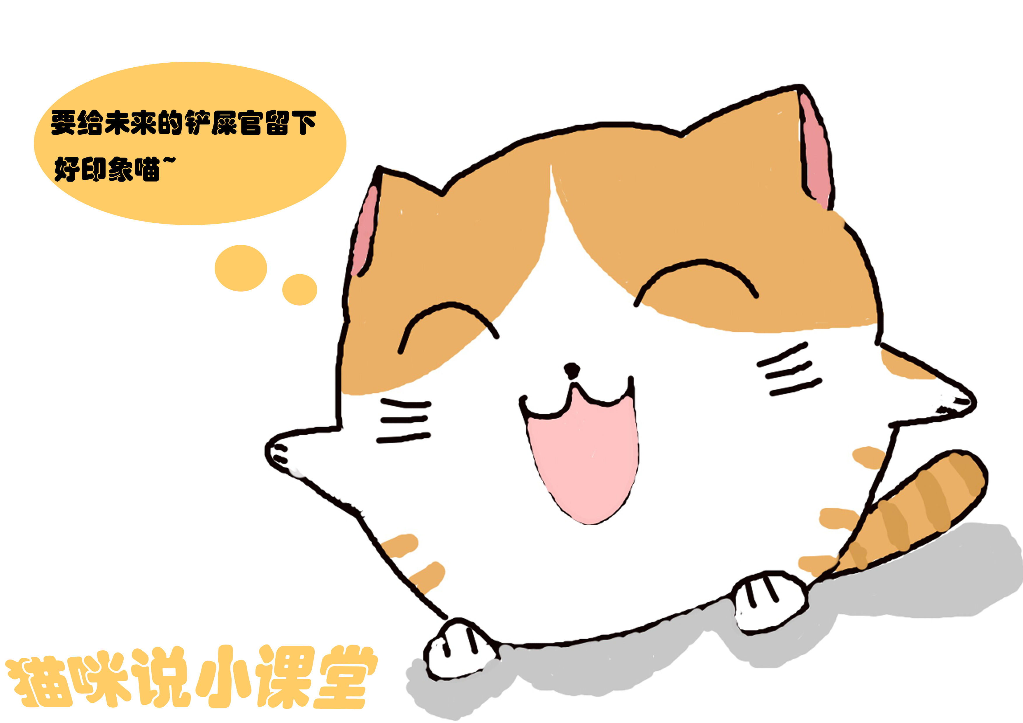 聪明小猫的特点,聪明小猫的智力有多高