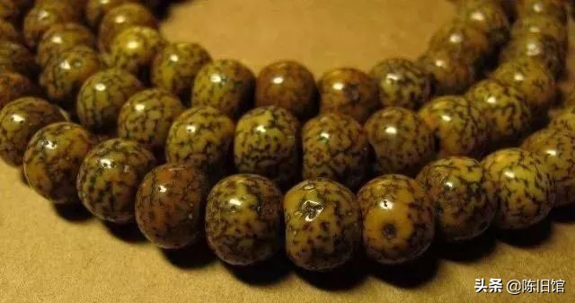 星月菩提如何盘玩成翠绿色,鸡油黄星月菩提盘出来的效果图