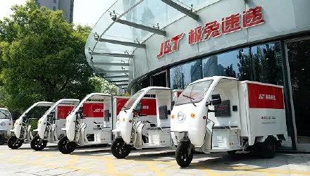 拼多多十元兔子,拼多多400多的鸟