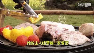 二哈为什么变瘦了,二哈太胖了必须要减肥