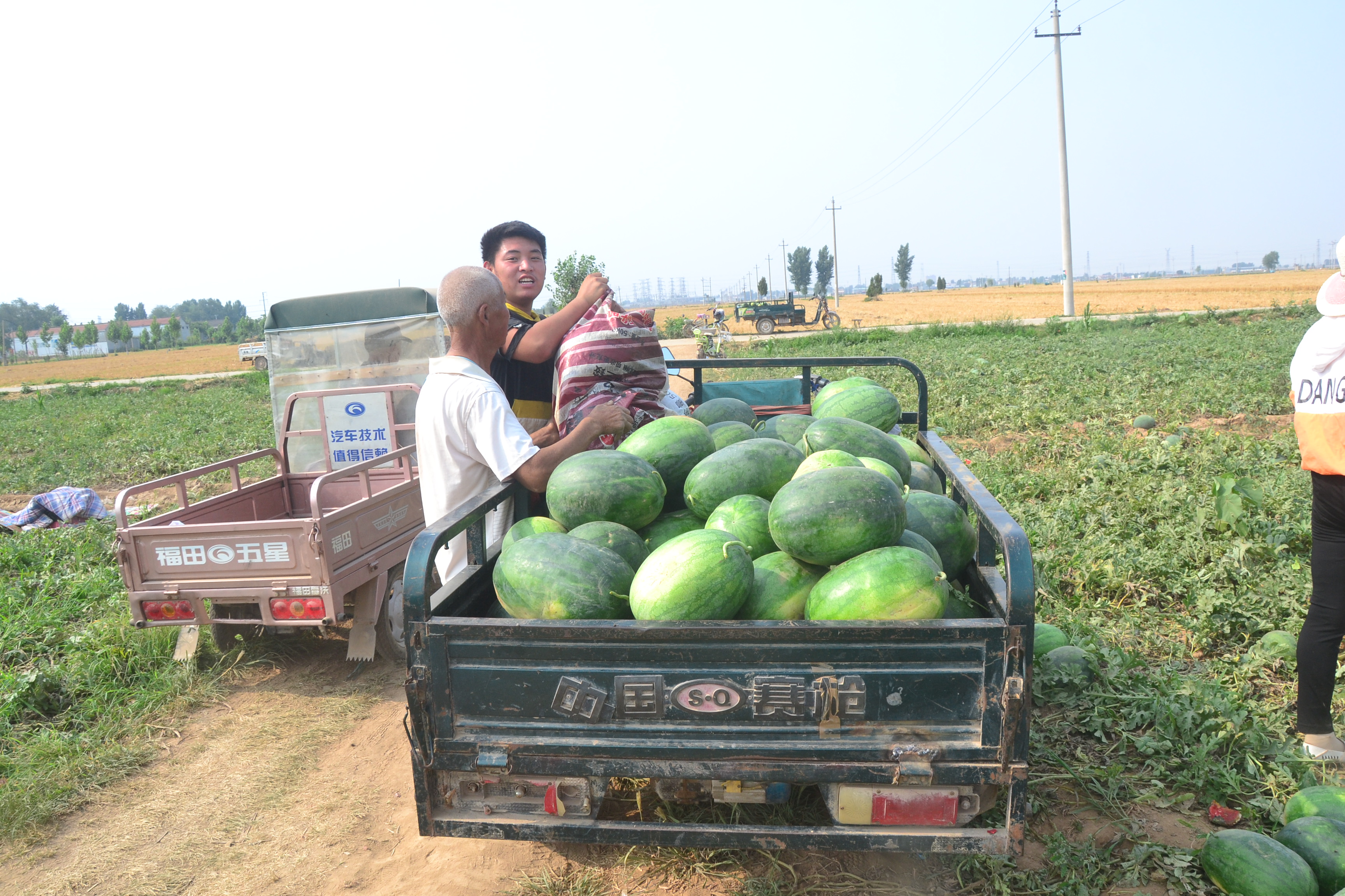 农村人创业的真实经历图片,80后农民创业记录