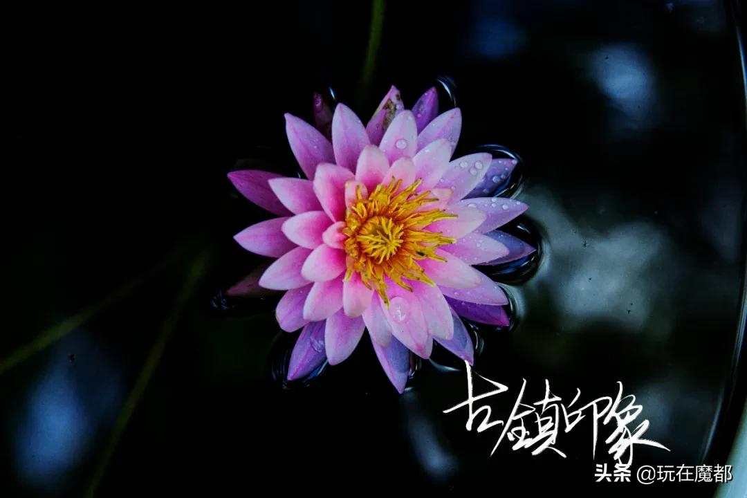 当你感觉到无聊,当你无聊时就回家乡看看