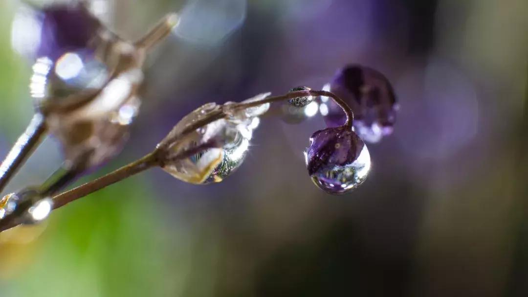 长焦镜头拍摄升起效果,怎么把镜头突然反过来拍自己