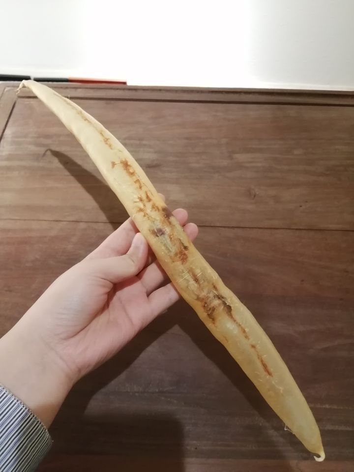 鲍参翅肚黄花胶,鲍参翅肚黄花胶的功效