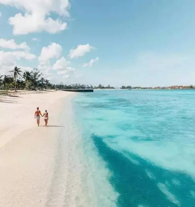 一张照片卖6000块,一张相片卖六千