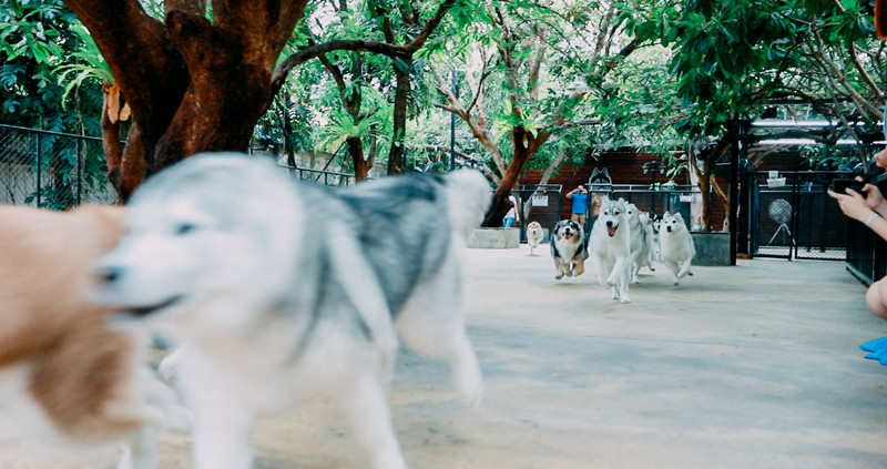多次曼谷，整理了这份美食攻略，曼谷怎么吃，戳进来