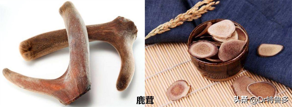 骨折了吃什么草药恢复的快,骨折只愈合一半怎么办