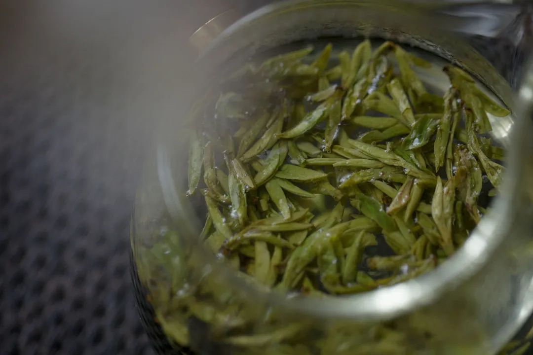 龙井43号和土茶的区别,龙井老茶树和龙井43号的区别