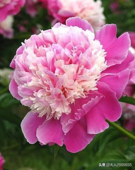 婚姻遇到问题怎么保持冷静,婚姻中的冷漠怎么化解