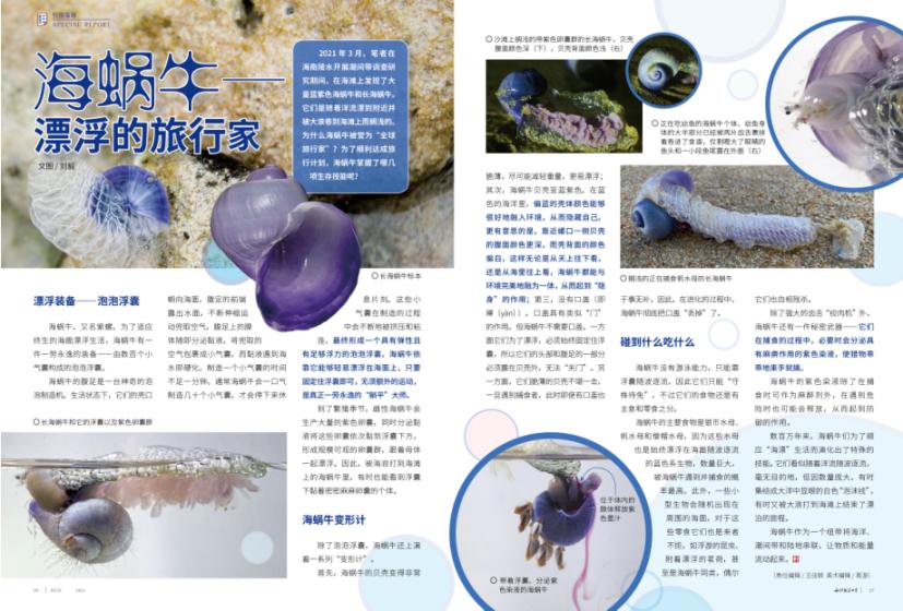 2021年上海国际贝展视频,2022年上海国际贝展