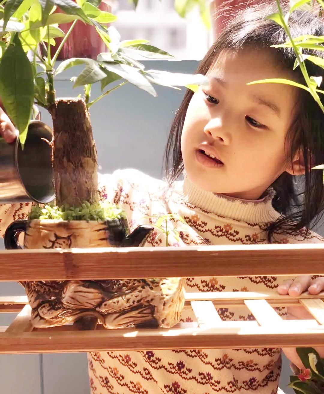 望城区的美景,望城的美景有哪些