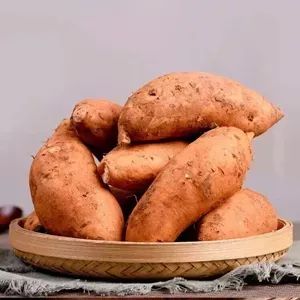 建水古城美食在哪,建水古城美食米线