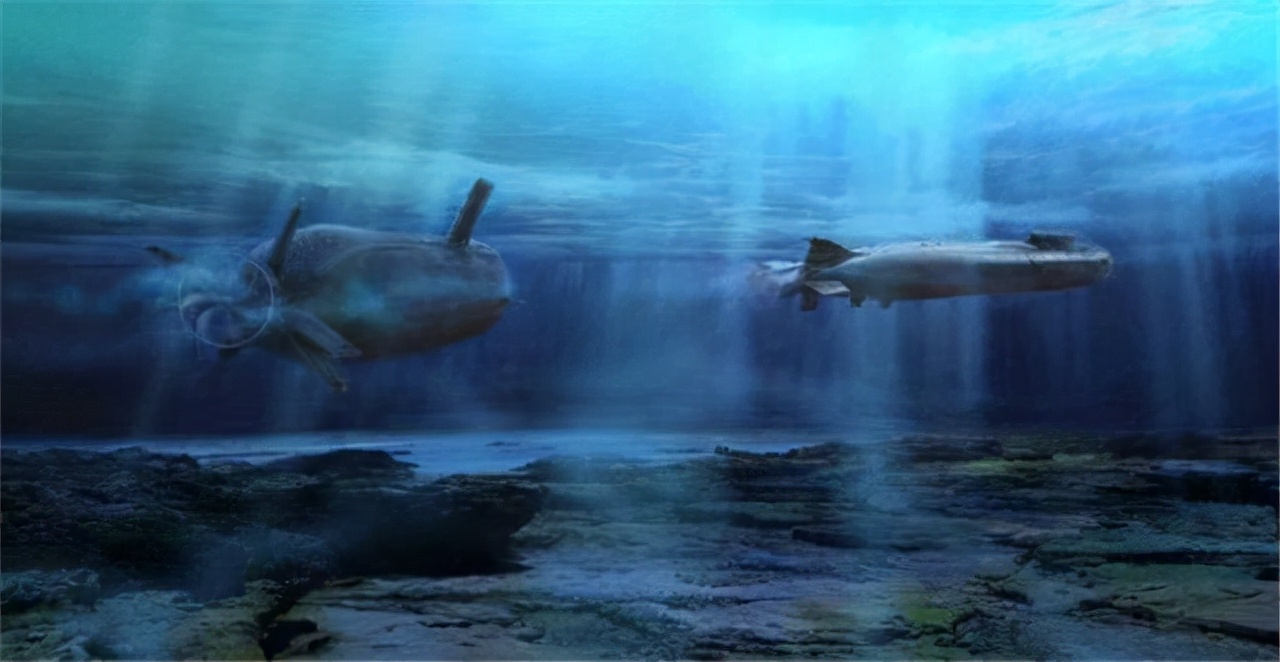 鲸鱼潜到深海不会砸碎藤壶吗,鲸鱼能潜入水下多少米