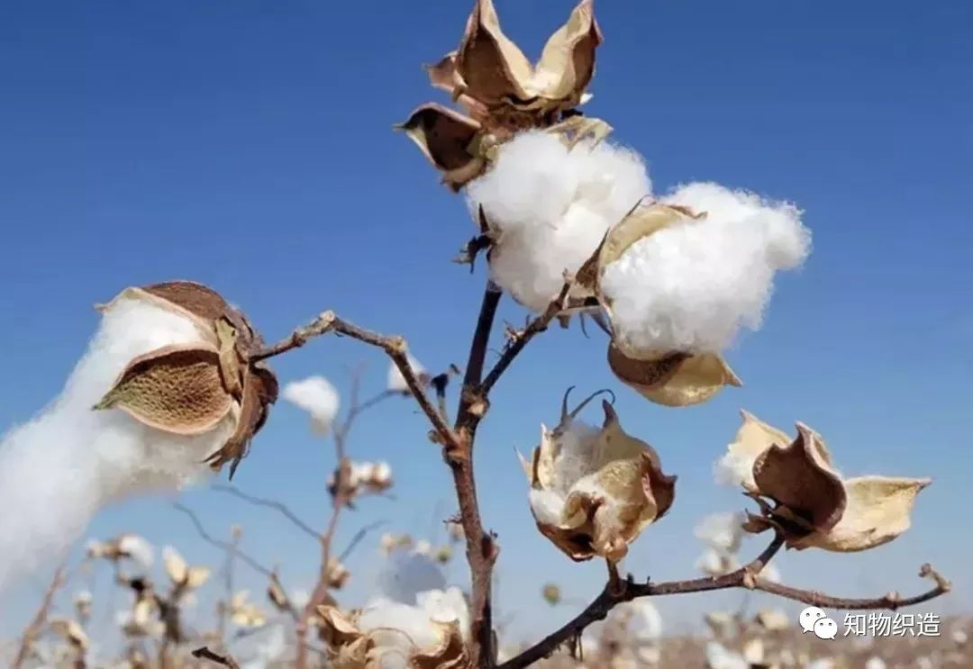 便宜浴巾和贵的浴巾的区别,超细纤维浴巾和纯棉哪个好