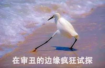 gucci鼠年价格,gucci鼠年限定款