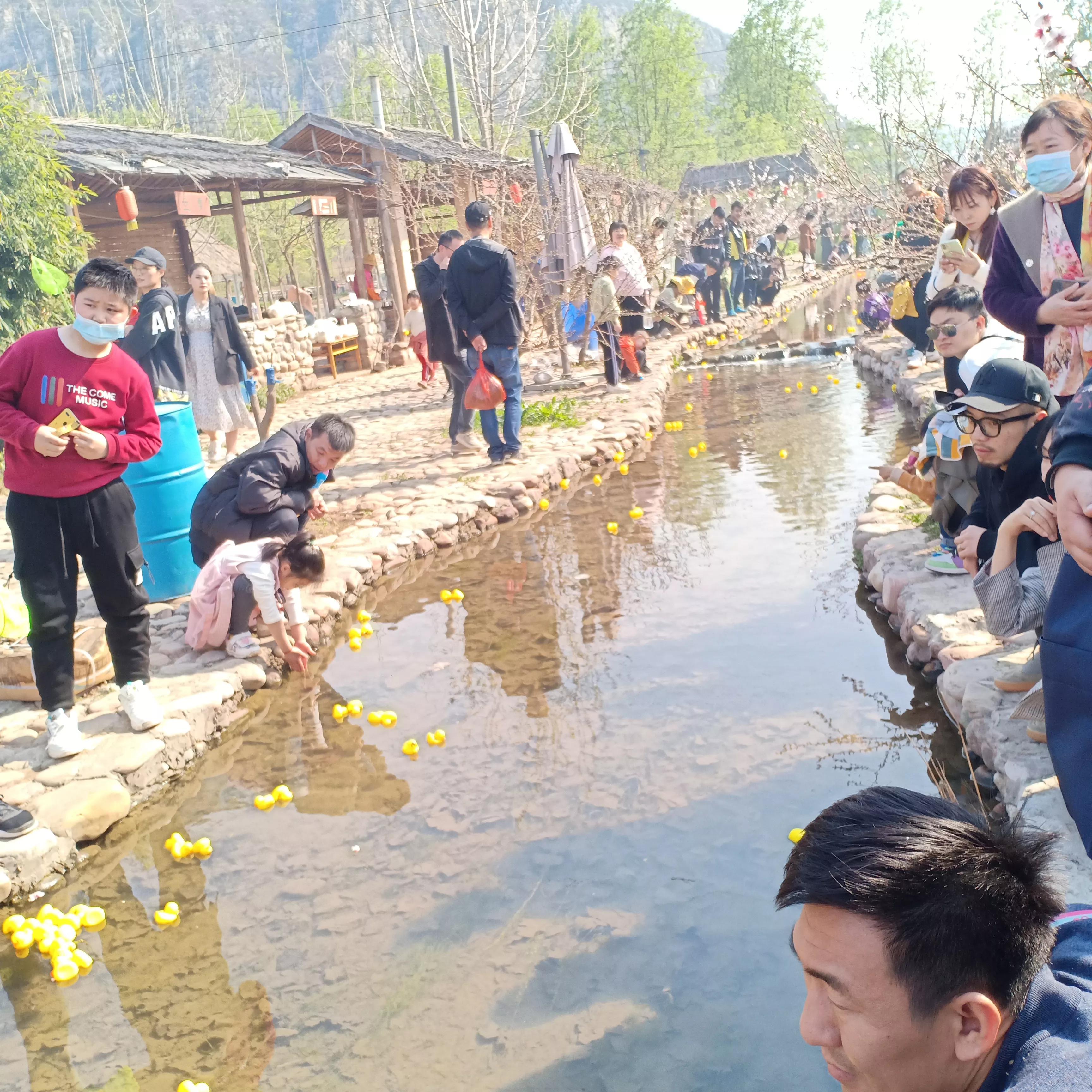 豌豆农庄周末去人多吗,豌豆农庄游玩攻略