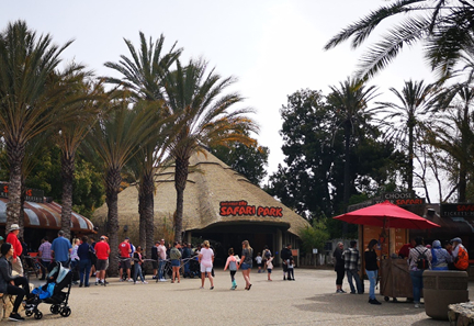 长隆度假区真实测评,长隆测试