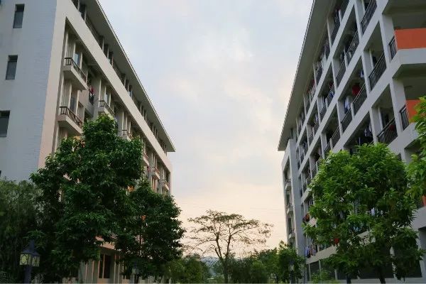 惠州卫生职业技术学院春招多少分,2023惠州卫生职业学院夏季录取分