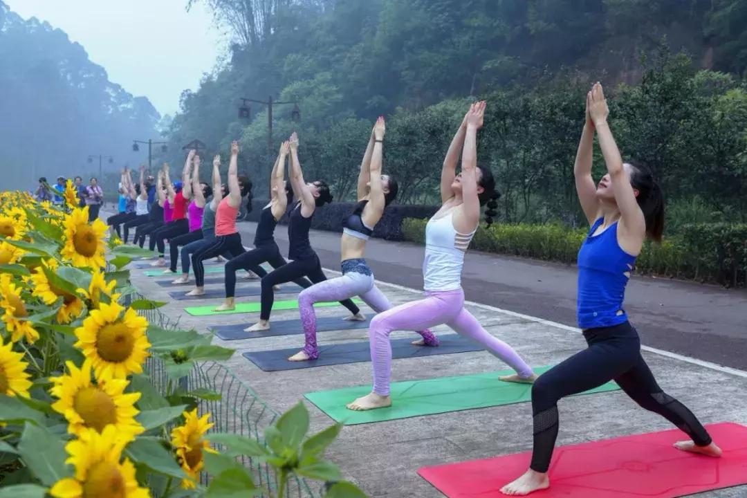 乐山市生态文明,庆祝新中国成立70周年特辑宣讲