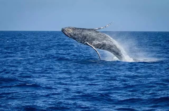 免签证国家与中国互免签证国家,免签国家一览表2021年对中国免签