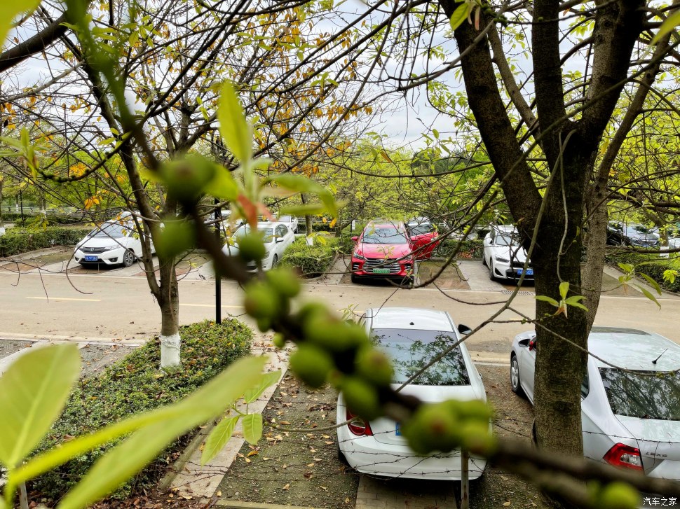 成都人会玩的景点,成都凤凰山公园可以爬山吗