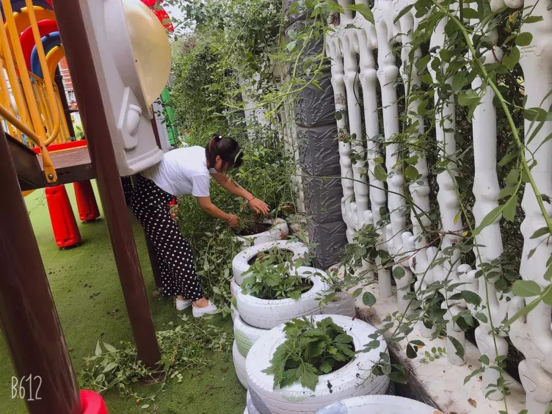 师爱如蜜，用心铺开童话之路，格林童话幼儿园喜迎开学季