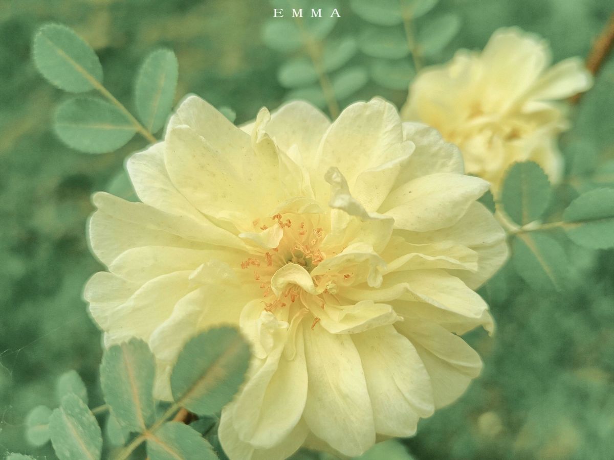 看似大大咧咧其实内心很脆弱,看似天真却心里城府很深的星座