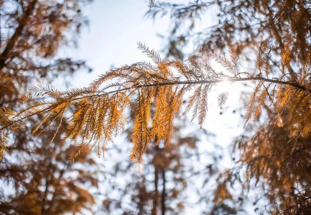 广州花都公园景点地图 (花都旅游景点分布图高清版)