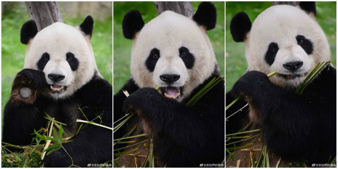 因为你们，“爱豆”的世界离我们不再远咯