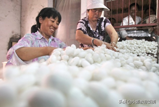 桑蚕丝面料的优缺点,桑蚕丝与棉混纺t恤的优缺点