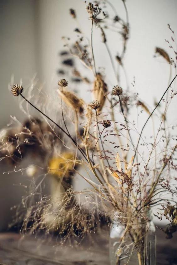 适合干花的装饰,简单的干花装饰