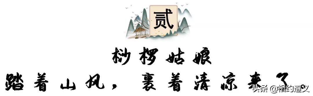 赤水大瀑布 侏罗纪公园 (世界唯一保留的侏罗纪原始公园)