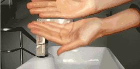 五毒月里的九毒日有何禁忌,五毒月里的九毒日是哪几天