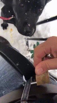 防寒保暖寒冬必备神器,抗寒神器零下40度