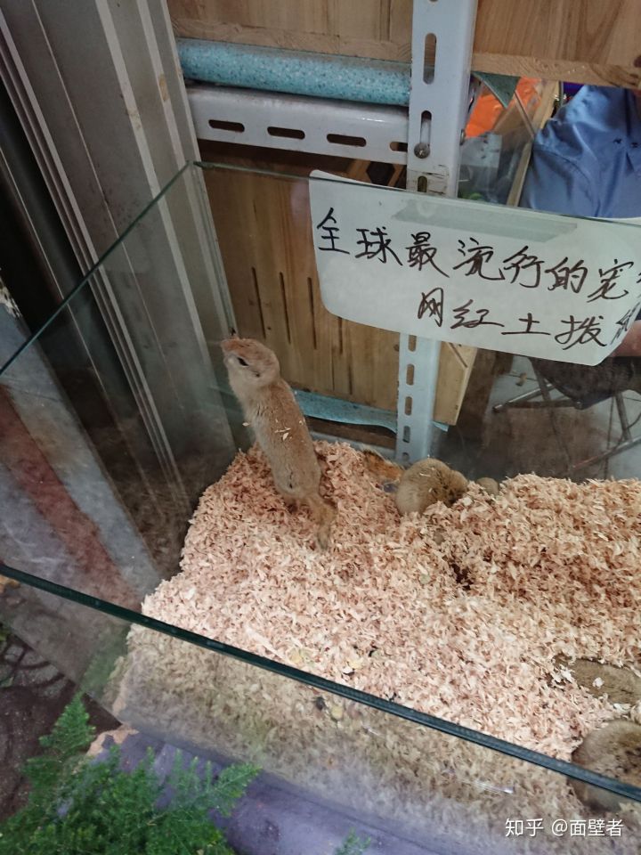 真实的苏州城市,真实的苏州相亲市场