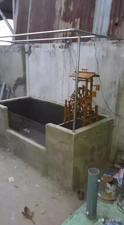 建一个锦鲤池要多少钱,园林锦鲤池建造