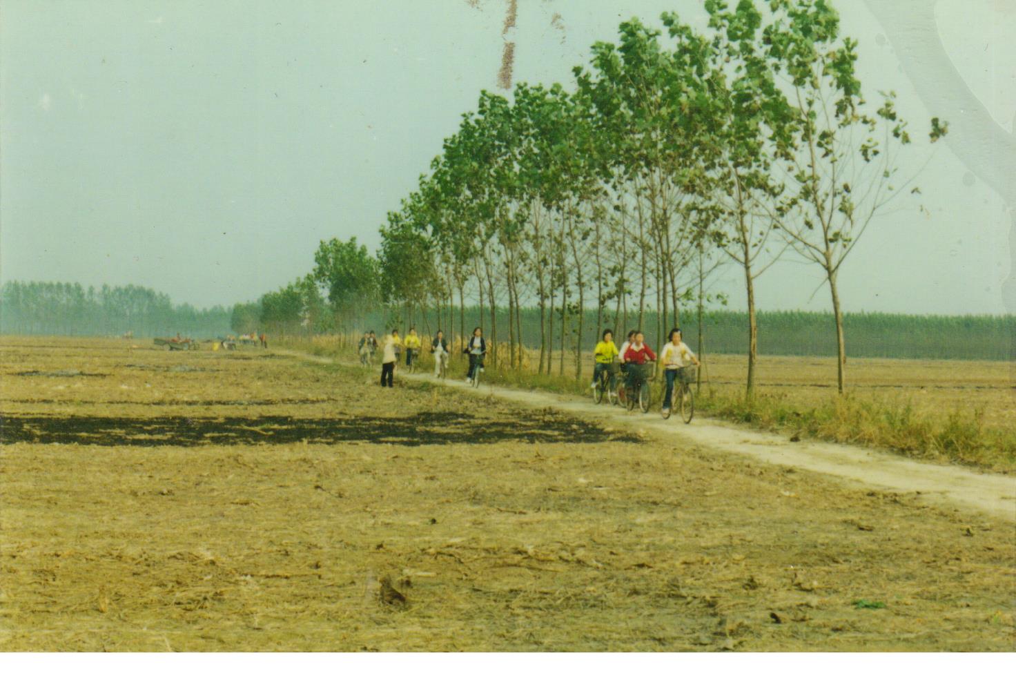 西平宋集淤泥河,西平淤泥河