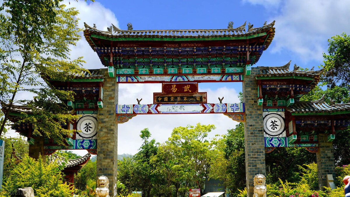 老挝最好的普洱茶,易武之巅顶级普洱茶价格