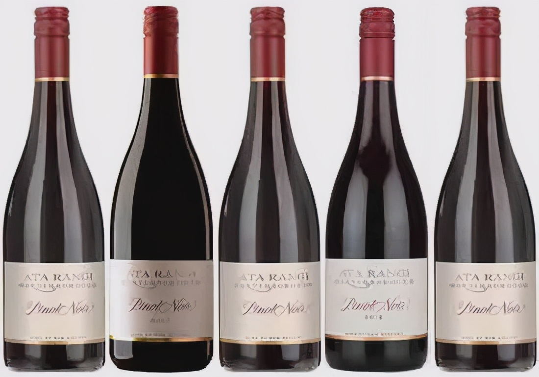 勃艮第黑皮诺好喝吗,勃艮第最顶级黑皮诺多少钱一瓶