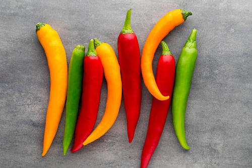 拉布拉多吃什么会有生命危险,拉布拉多禁止吃什么水果