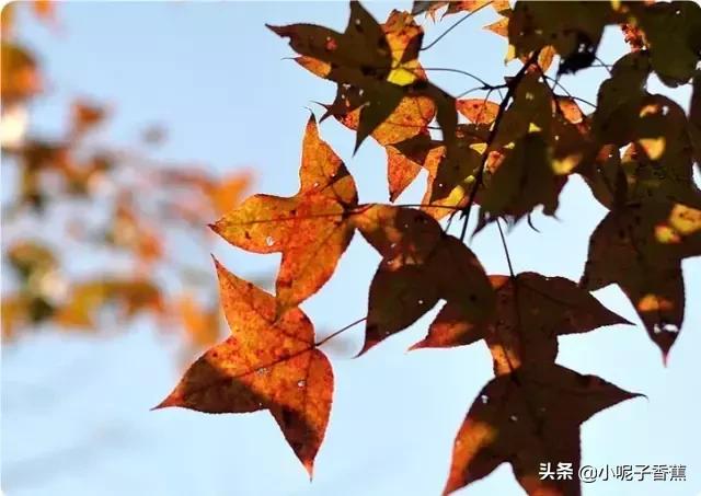 回到梅州你后悔了吗,你回梅州了吗