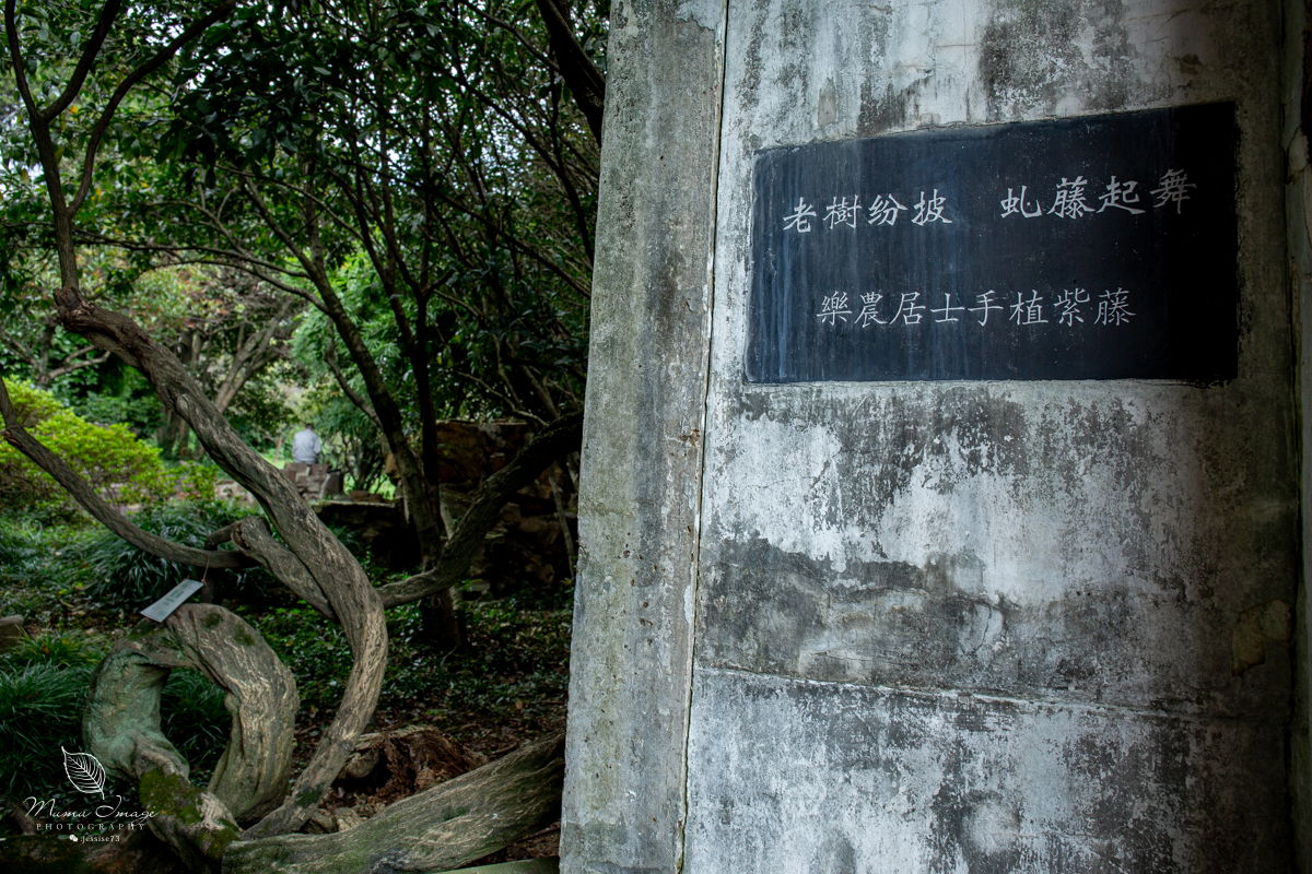 江南百年园林,江南私家园林所蕴含的人文情怀