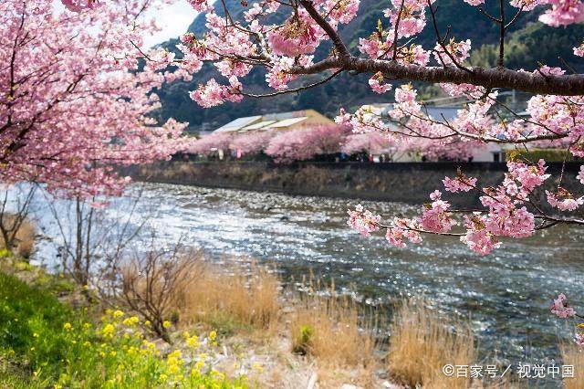 全球十大汽车零部件企业,国内最新十大汽车零部件供应商