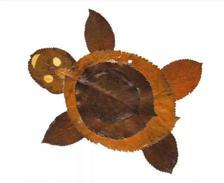 有多少种各种各样的小动物呢,用落叶做可爱的小动物